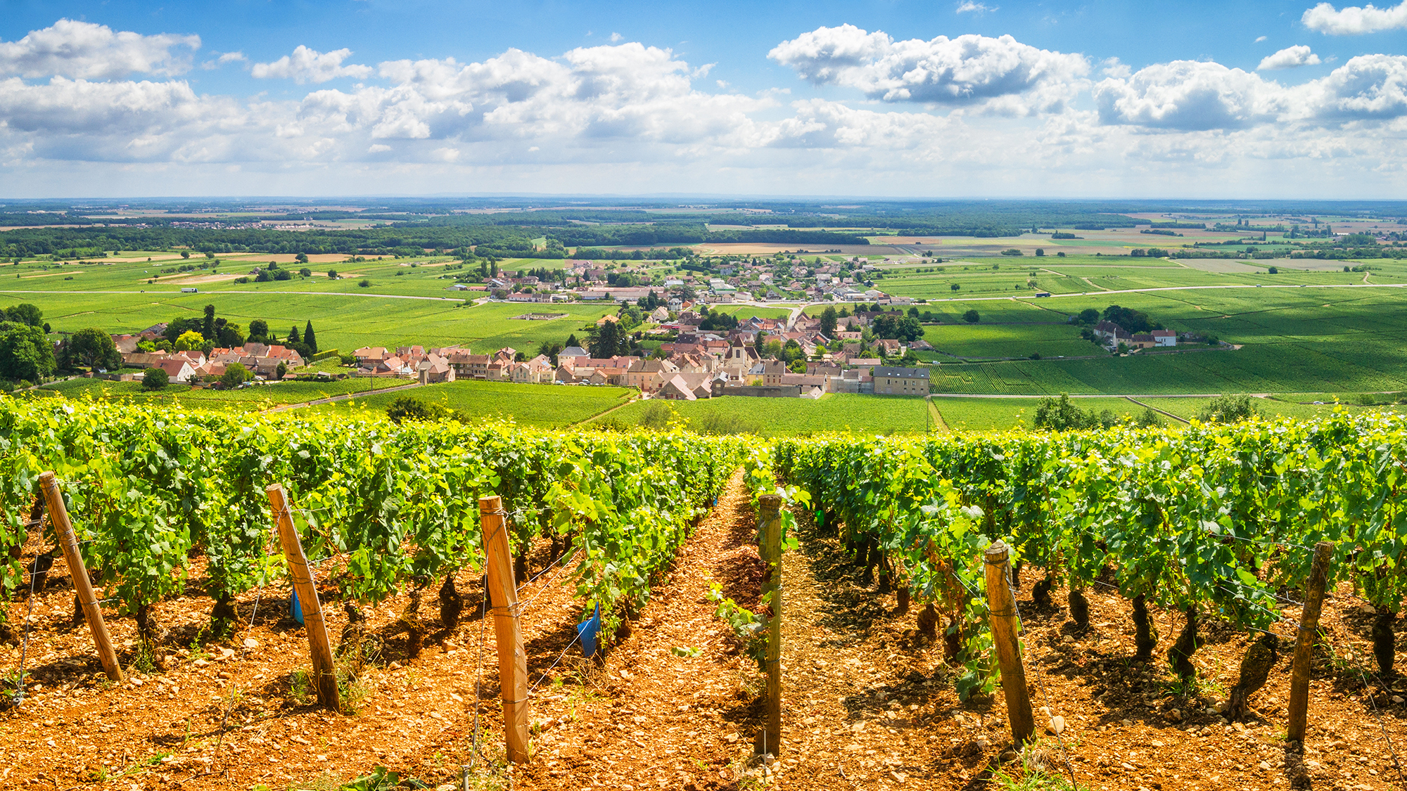 Vineyards with stretch of French countryside below under blue skies